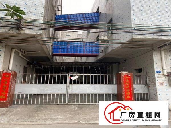  中堂槎滘厂房招租8元/㎡/月只要8块还免费送宿舍值