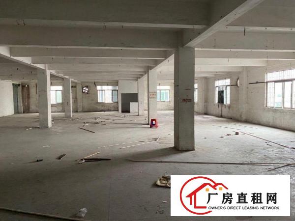  中堂槎滘厂房招租8元/㎡/月只要8块还免费送宿舍值