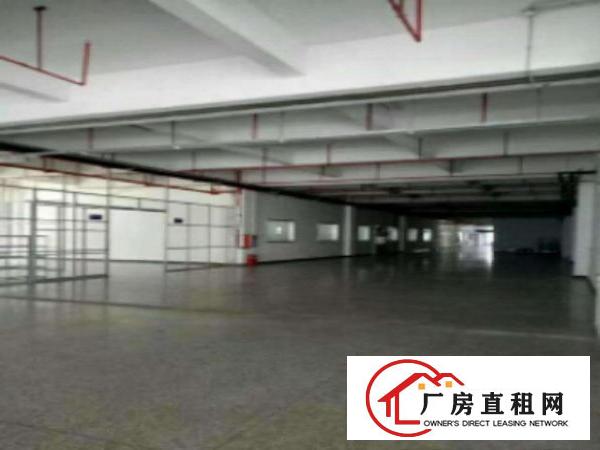  独院标准厂房仓库500至20000平方招租形象非常好