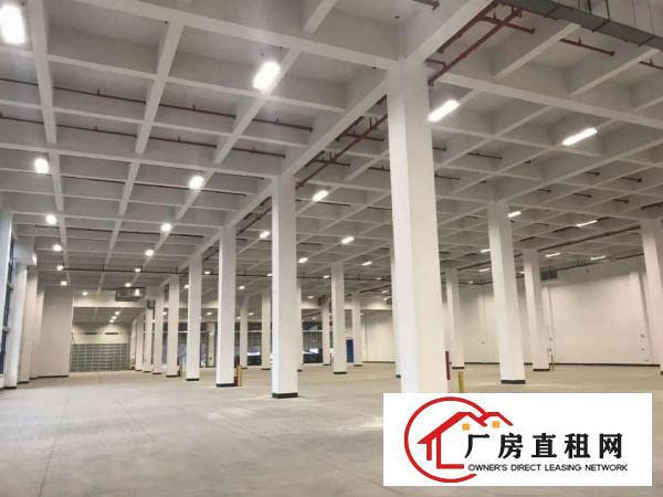  独院标准厂房仓库500至20000平方招租形象非常好