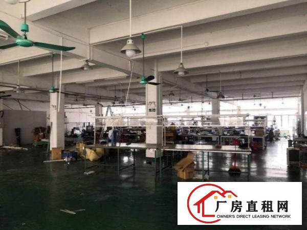  潢涌新出900平方，面积实在带办公室车间水电