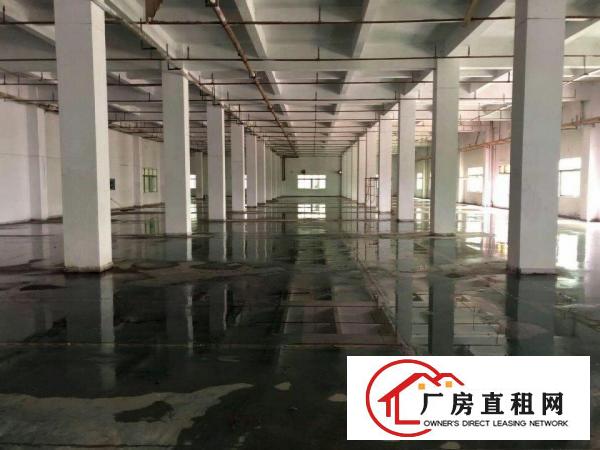  中堂城区新出标准独院厂房一楼2000平方带办公室出租
