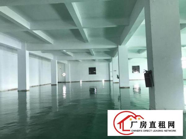  独门独院标准楼房高新产业园项目一手房东直租