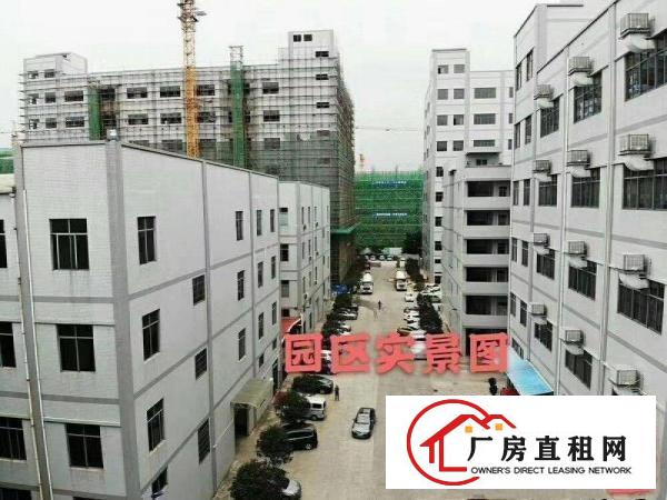  独门独院标准楼房高新产业园项目一手房东直租