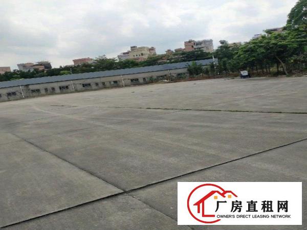  中堂附近独门独院单一层滴水十米钢结构原房东招租