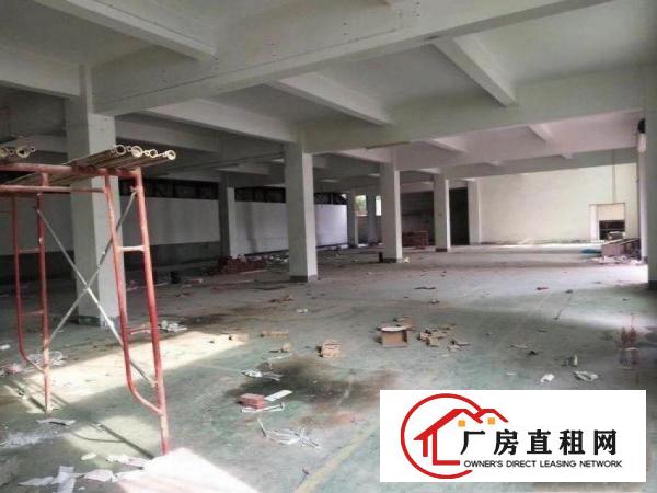  下芦工业区分租标准厂房一楼1200平米水电齐全