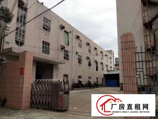  下芦工业区分租标准厂房一楼1200平米水电齐全