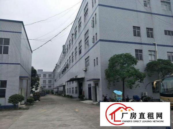  蕉利工业区新出原房东标准厂房三楼1000平方，水电齐全无公摊