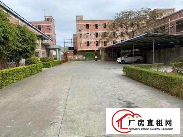  中堂新出独院厂房1500平交通方便可办环评