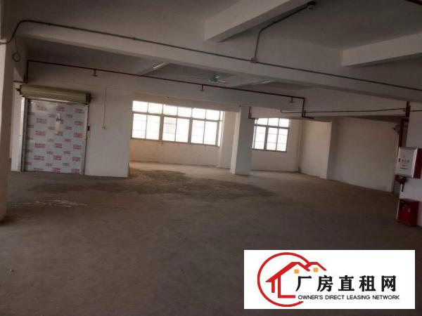 中堂原房东小厂房1000平方出租带电梯