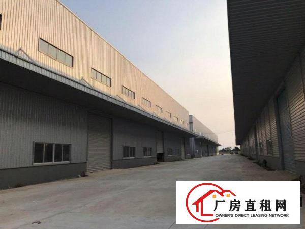  中堂原房东无公滩独栋钢构厂房6000平方