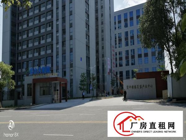  东莞市望牛墩全新23万平方米厂房招租可办环评物流园高新企业