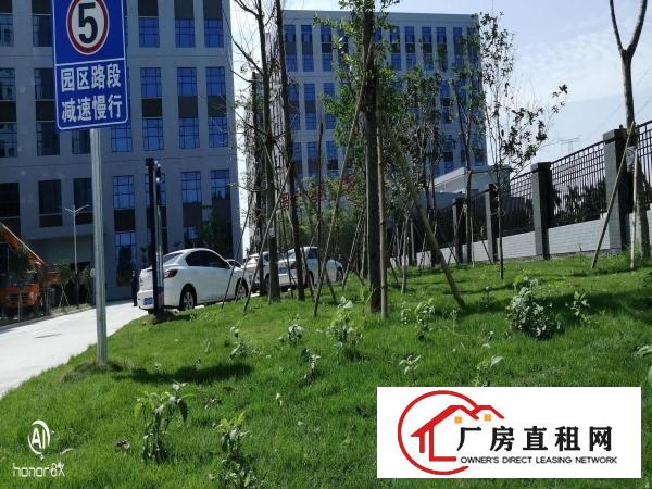  东莞市望牛墩全新23万平方米厂房招租可办环评物流园高新企业