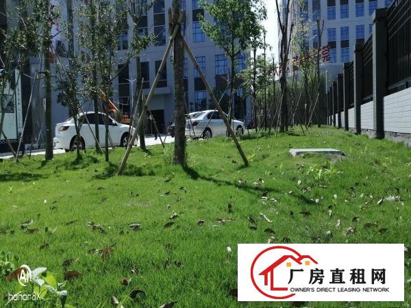  东莞市望牛墩全新23万平方米厂房招租可办环评物流园高新企业