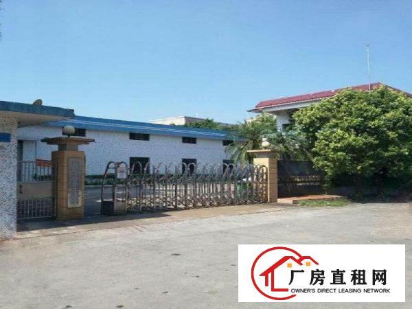  中堂潢涌工业区原房东出租新建独院单一层厂房3500平