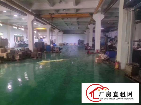  中堂斗朗工业区原房东独院分租一楼1080平方6米高带行车