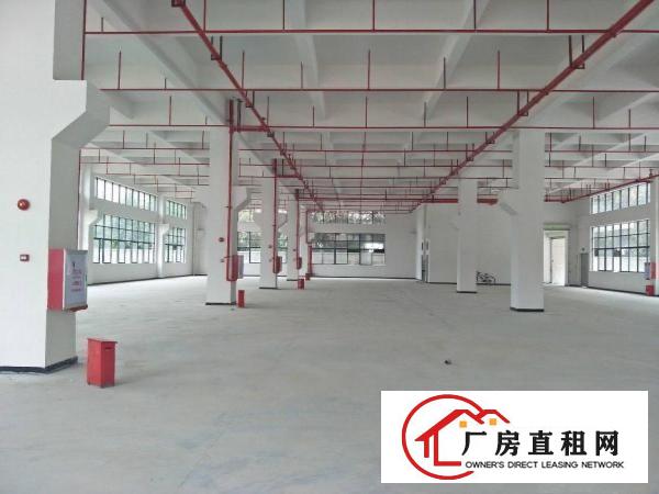  中堂镇75000平方米智能智造产业园出租（可分租）