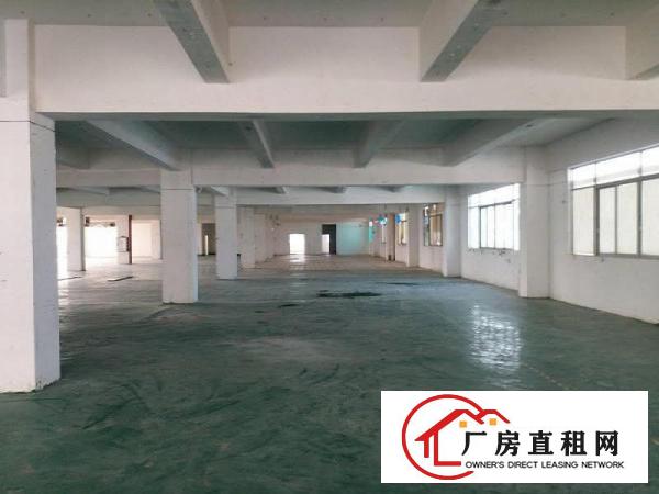  中堂出租标准厂房3000平方有地坪漆无行业限制