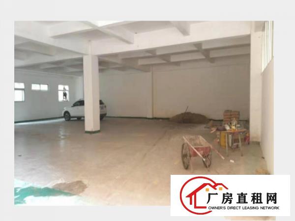  中堂原房东厂房4层1200平方出租一万元月
