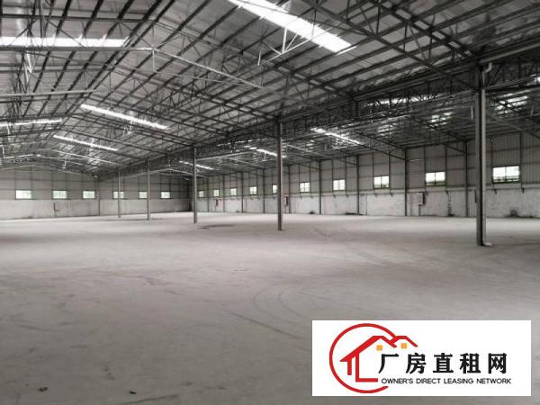  中堂出租单一层钢构厂房3500平方原房东价格面谈