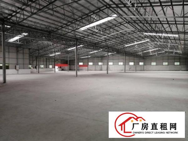  中堂出租单一层钢构厂房3500平方原房东价格面谈