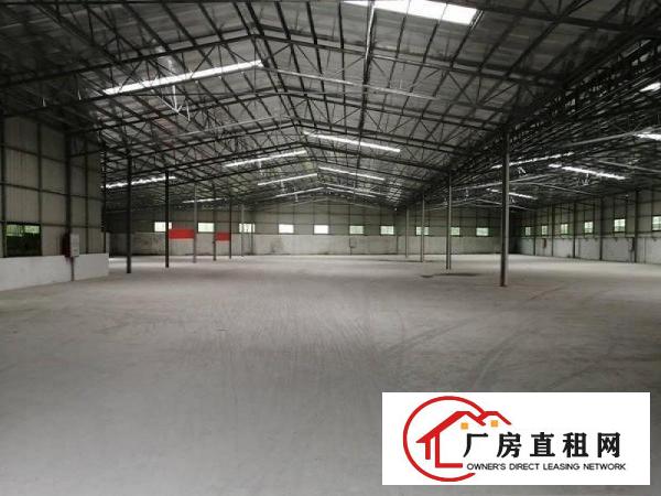  中堂出租单一层钢构厂房3500平方原房东价格面谈