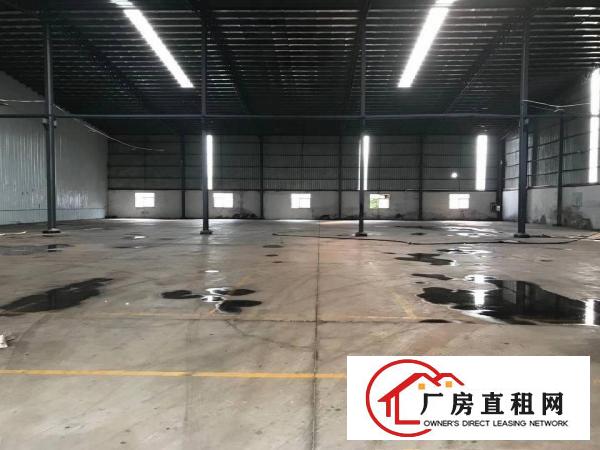  中堂斗朗工业区新出9米高单一层厂房5500平方
