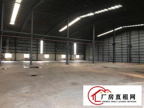  中堂斗朗工业区新出9米高单一层厂房5500平方