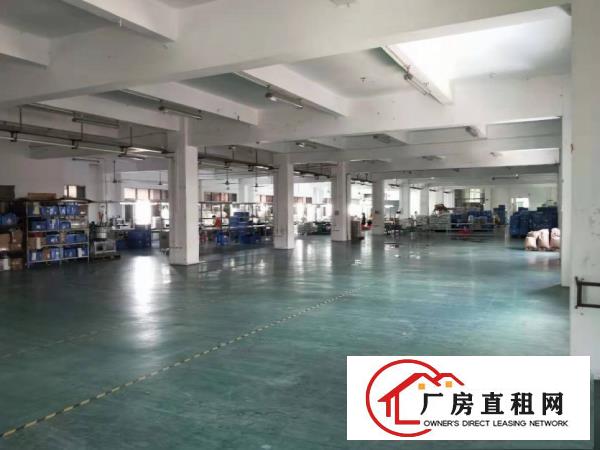  中堂斗朗工业区标准厂房三楼1350平方招租有地坪漆,带装修
