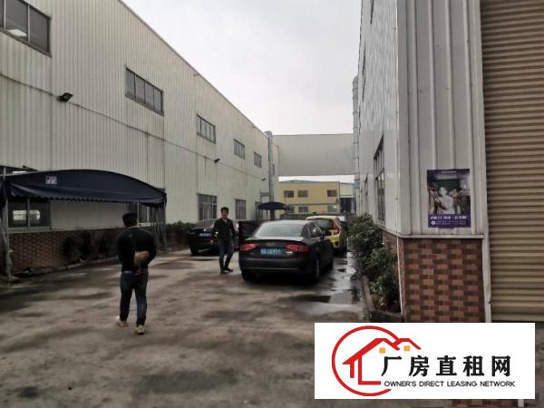  中堂南潢路工业园3150平方带牛角13米高标准钢构厂房招租