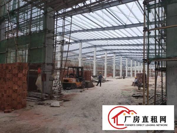  中堂镇全新独门独院单一层4000平方厂房带牛角出租。