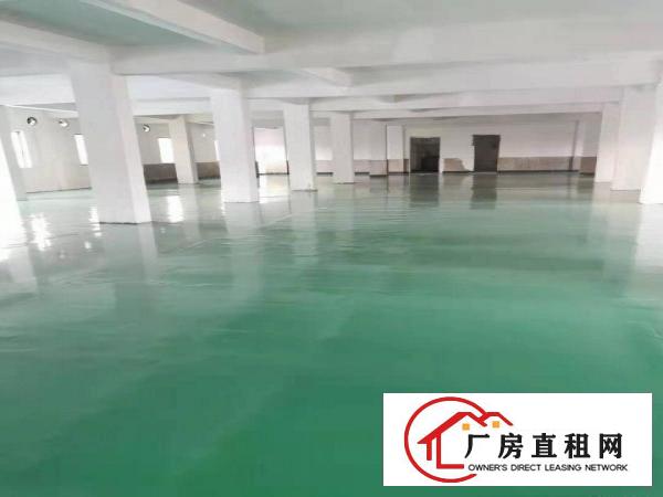  中堂镇东泊工业园分租二楼880平方（空地大，电大）