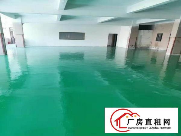  中堂镇东泊工业园分租二楼880平方（空地大，电大）