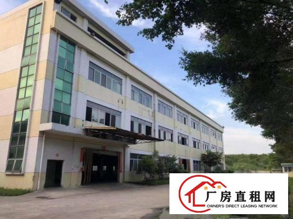  中堂镇东泊工业园分租二楼880平方（空地大，电大）