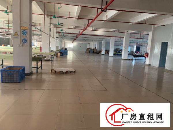 中堂三涌工业区无公摊独院分租1楼1800平方6米高精装