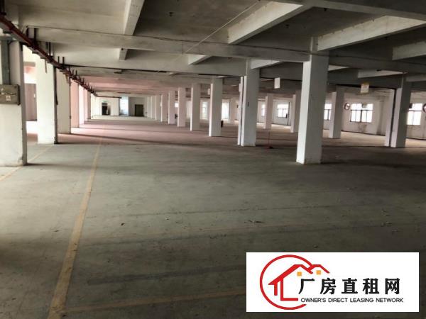  中堂三涌工业区无公摊独院分租1楼1800平方6米高精装