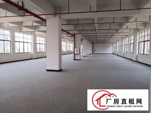  中堂东泊工业区标准厂房一楼1250平方米出租