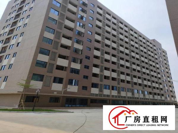  中堂镇高大上（1000至100000方)厂房出租.包办环评