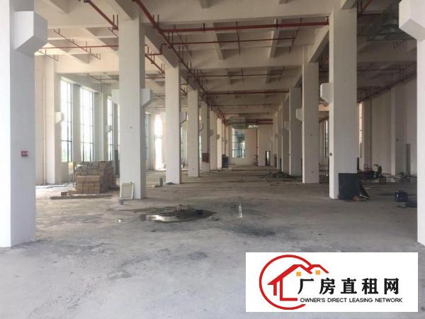  中堂镇高大上（1000至100000方)厂房出租.包办环评