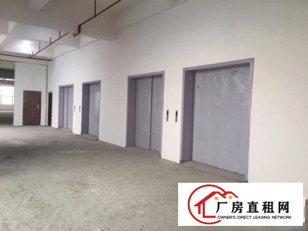  中堂镇高大上（1000至100000方)厂房出租.包办环评