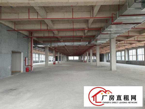  中堂镇高大上（1000至100000方)厂房出租.包办环评