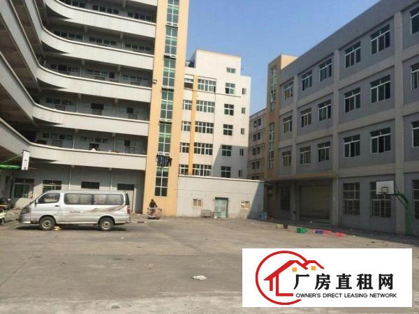  中堂镇独院标准厂房6500方出租，可做小污染企业，周边无居民