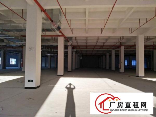  中堂镇独院标准厂房6500方出租，可做小污染企业，周边无居民