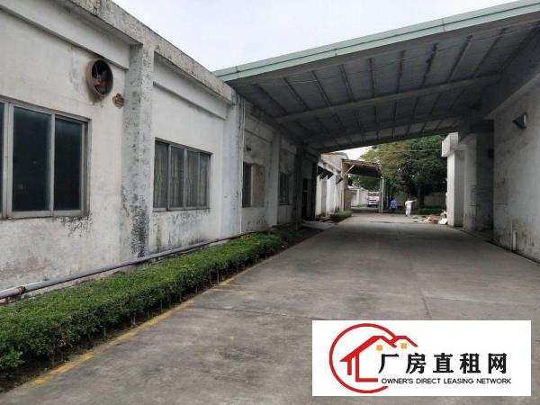  中堂三涌工业区新出花园式厂房6100平方