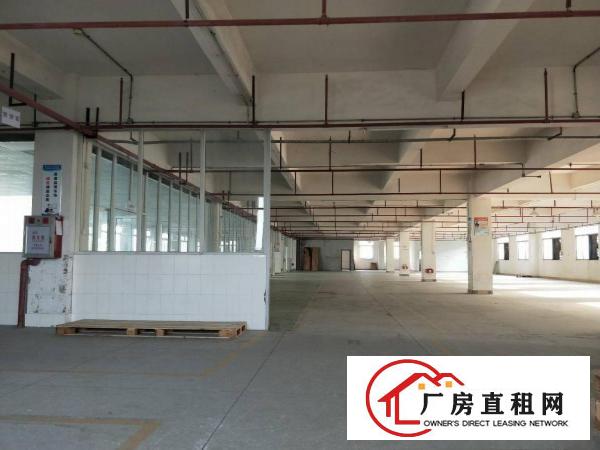  中堂三涌工业区新出花园式厂房6100平方
