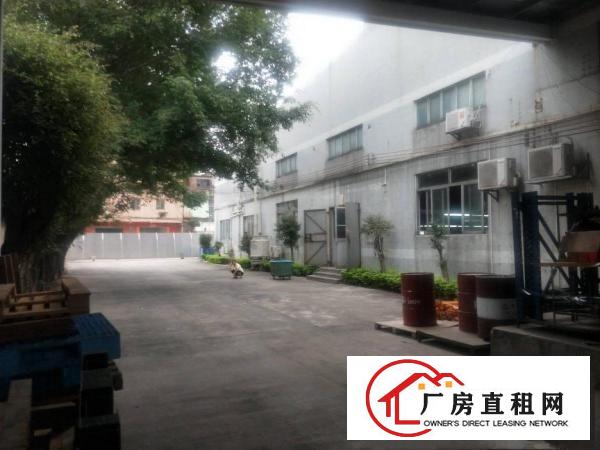  中堂三涌工业区新出花园式厂房6100平方