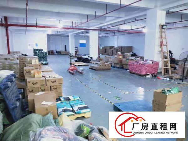  坂田雪象工业城厂库办公电商一二900平米可分租