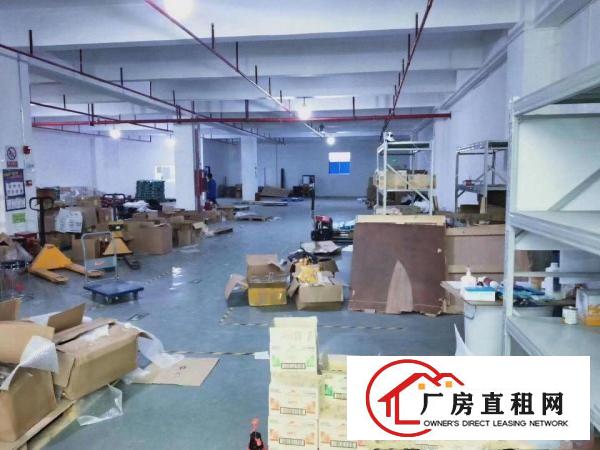  坂田雪象工业城厂库办公电商一二900平米可分租