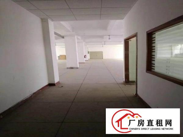  厂房出租龙岗吉祥爱南路边新出精装修厂房500平报价20元可分