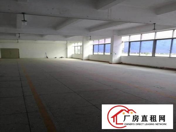  厂房出租龙岗吉祥爱南路边新出精装修厂房500平报价20元可分